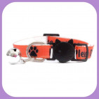 Collar-212